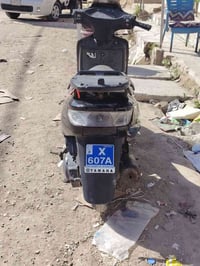 فراشه • فحل • جاهزه