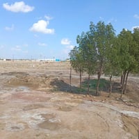 قرب سيطرة سوق الشيوخ • ٢٠٠م • هيكل