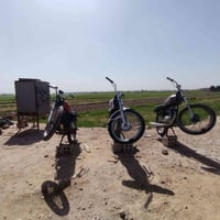 وراق الحمره • موتور • مشخاب