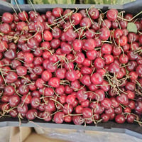 مسواك اليوم. متوفر لدينا توصيل داخل  المحمودية.07505312499 تواصل عبر ر...