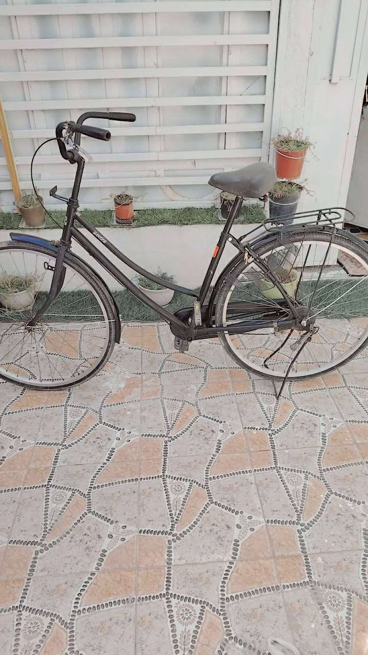 للبيع بسعر مناسب جدا


**إذا كنت صاحب هذا الإعلان وتريد حذفه لأي سبب، رجاءا أرسل رسالة إلى الدعم الفني**