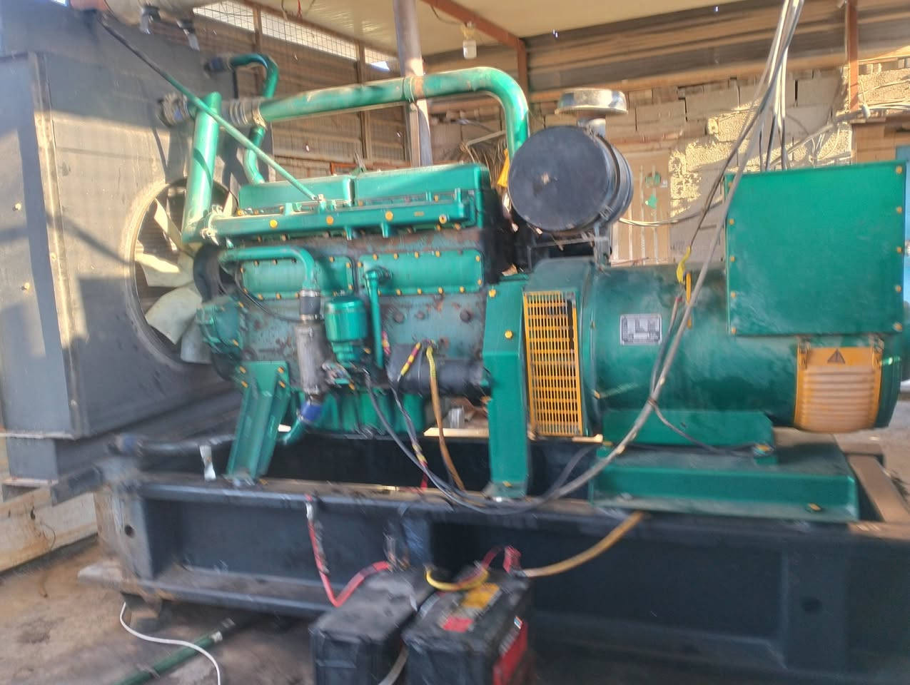 مكينه للبيع 13 راس توليده 250 
محافظة واسط  
للستفسار ***********
