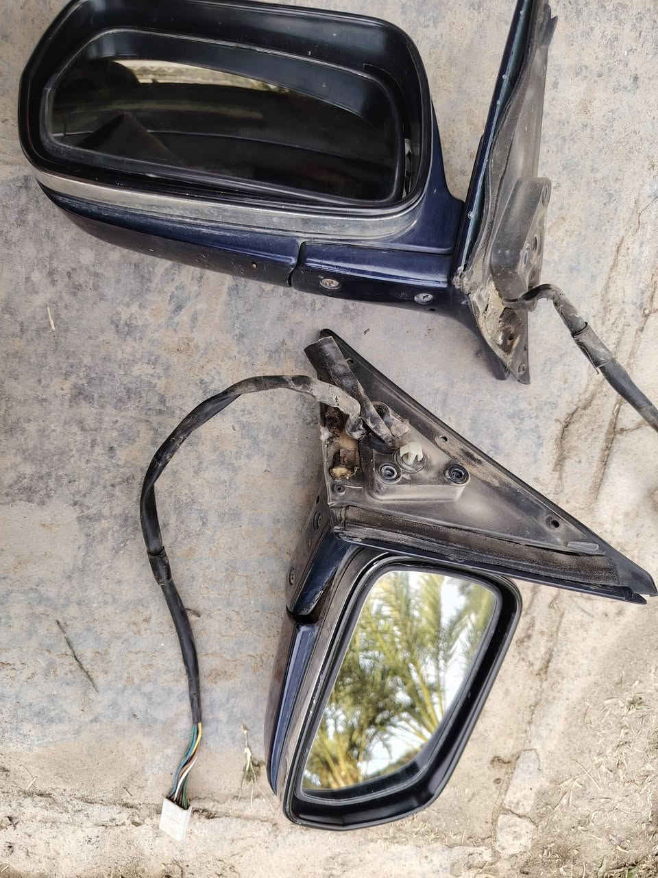 مرايات ارنب راس الثور
ب55 الف
*********** بغداد/ بسمايه
