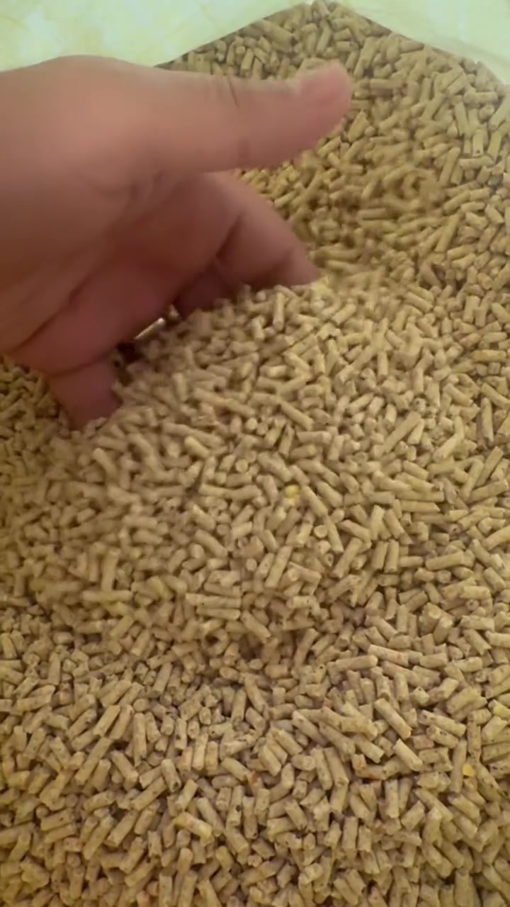 السلام عليكم اكل طيور كافة الانواع يتواجد ماركت ابو امير المحمداوي وارخص الاسعار 5 كيالو فقط ب4500 توصيل داخل حي البساتين موجود وتريد تجينه تنورنه بلماركت حي البساتين المدخل الاول من القناة بس اسئل ماركت ابو امير  مقابيل العياده الطبيه


**إذا كنت صاحب هذا الإعلان وتريد حذفه لأي سبب، رجاءا أرسل رسالة إلى الدعم الفني**