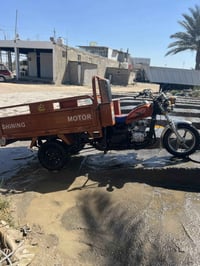 ستوته • ٢٠٢٠ • بل الحله