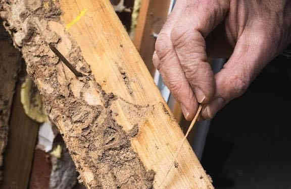 سلام عليكم ورحمةً الله وبركاته
مكتب بركات الزهراء (ع) 
لمكافحة حشره الارضه  بمبيدات اوربيه مع ضمان مدى الحياة
مع كادر متمرس وأفضل أنواع مبيدات الاوربيه 
امن بيتك الآن ومستقبلآ مع مكتب بركات الزهراء عليه السلام
عنوان -كربلاء 
تواصل *********** متوفر وتساب
