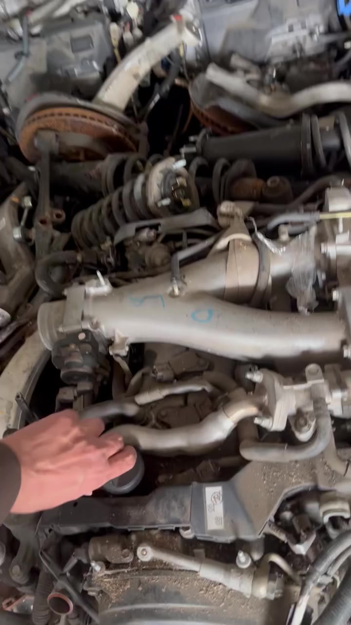 تم بعون الله اليوم وصول حاوية
اليابان محركات كراون ( ملكة ) (شاهينة) (في في تي اي )
مجمع زيد عاشور ***********
