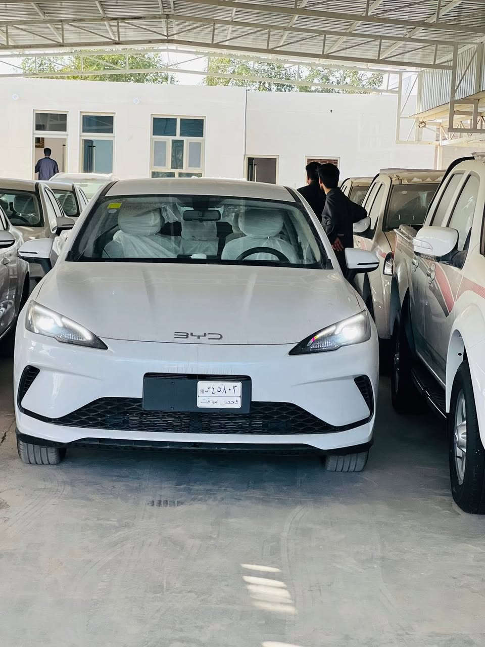 تعلن شركة الحاج ابو رزاق الزيادي عن وصول وجبة بي واي دي موديل 2025 فئة سي فايف داخل ابيض الاسعار مناسبة بمناسبة شهر رمضان المبارك 
البيع جملة ومفرد  البيع نقد فقط بدون تسقيط 
***********
