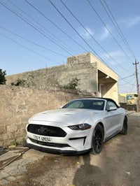 موستانغ بريميوم • ٢٠٢٠ • مصبوغ