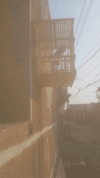 سلام عليكم اليف قفص تقيبن عمره 3 او كثر  بدون قفص 60قفل طير يسوه اكثر ***********
