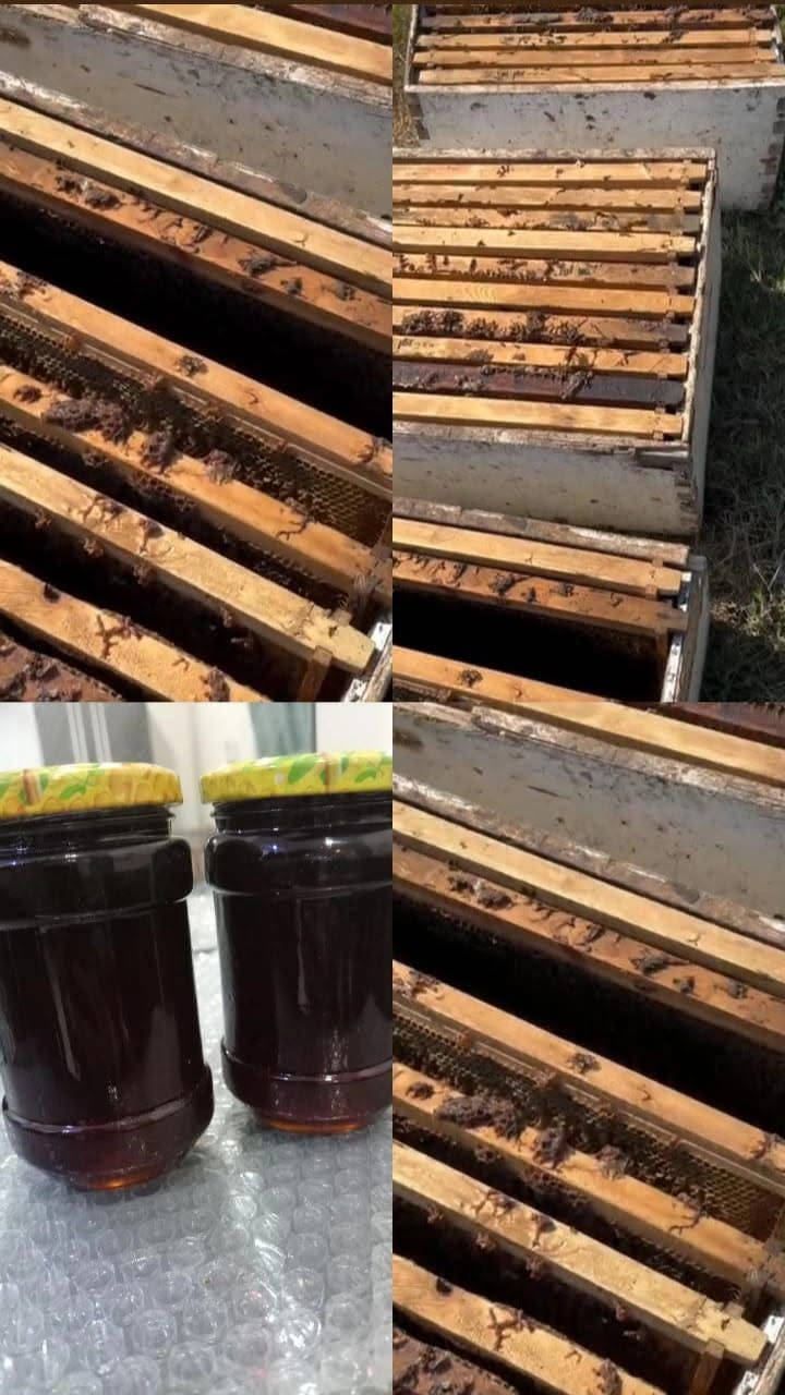 عسل اصلي بضمان 💯%
نصف كيلو السعر 15 
يتوفر توصيل للبيت


**إذا كنت صاحب هذا الإعلان وتريد حذفه لأي سبب، رجاءا أرسل رسالة إلى الدعم الفني**
