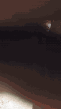 @الجميع السلام عليكم صدر كامل ب185 الف اهم شي ثقة الاخوه اعضاء الكروبات شوفو شيكولون
شوف الفديو حتى تستفاد من العروض والاسعار
 الحمدلله شوفو شيكولون والي يريد يراسلني واتس اب اني حاضر وبالخدمه انسب اسعار وافضل مواد وضمان
 #جورني #كرفان #افنجر #سي #ميتين #كاليبر #كومباس #باتريوت #جيب #بزون 
📫العنوان بغداد ساحة الطيران تشرفونا باي وقت
📝اهم شي ضمان لمدة 6 اشهر بانسب الاسعار
📦احجز الطلب
✏اكتب اسمك ومحافضتك على الواتس اب
⏰يوصل طلبك خلال اقل من 24 ساعه
📩راسلنا على الواتس اب
✅***********
