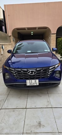 توسان • ٢٠٢٤ • ضرر خلفي