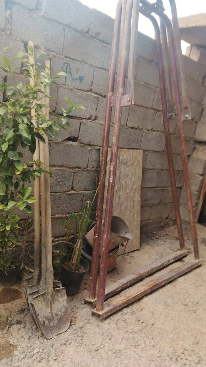 السلام عليكم نحالة للبيع بدون عرباين السعر 350 وبيها مجال


**إذا كنت صاحب هذا الإعلان وتريد حذفه لأي سبب، رجاءا أرسل رسالة إلى الدعم الفني**