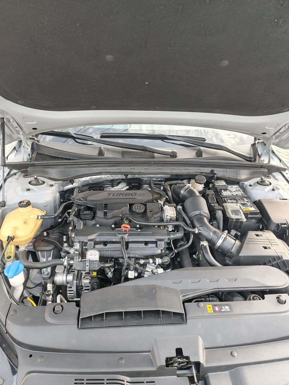 سلام عليكمK5 جي تي لاين فول مواصفات مديل 24 تقرير غرق دخول جديد ماشيه 15 ألف رقم شهداء بصره ***********
