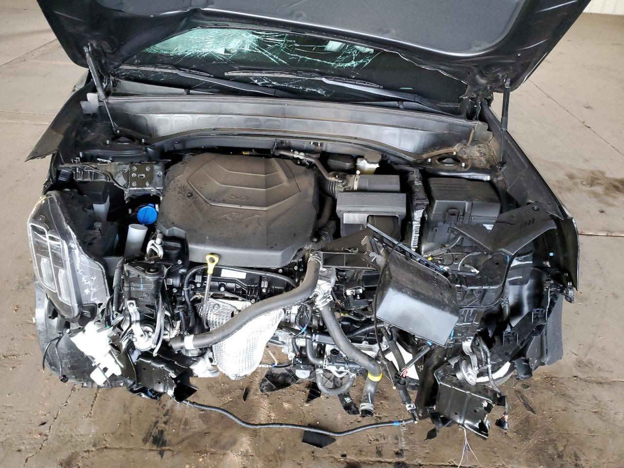 كيا تيلورايدEX 2025 فول مواصفات
شغاله وتمشي ماشيه 4000  ألف فقد للبيع واصل ميناء

السعر 165

تدخل حره أوبكتاب شهداء 

موعد لوصول بعد شهرين للستفسار شركة الفارس للمزادات 

بغداد القاهره نزلت جسر البنوك ***********
