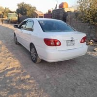 كورلا نحله • ٢٠٠٧ • ابوغریب