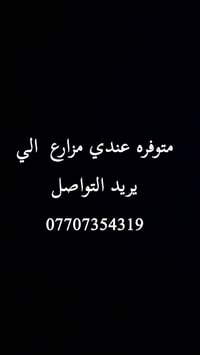 مزارع للايجار • ايجار مزارع • مزرعة للايجار • اراضي زراعية للايجار • ا...