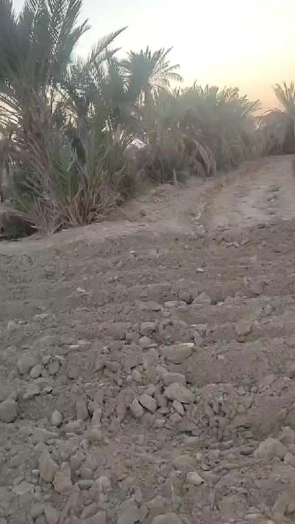 كهرباء تلث خطوط وميزانيه
كاع خمسه دونم وبيت بيه غرفتين وصال ومطبخ صيحيات اربعه متوفر بي كهرباء وماي اساله ميزانيه كاع بيه 40نخله و رمان 18نبكايه وتين وعنب وتكيه 18مشمشه بيه ماي برينه وماي اساله و كهرباء رقم ***********عنوان منطقة عزيز الله جاي من عزيز الله بكلوين يم مدرسه الزيات خمسه دونم وبيت بيه غرفتين وصاله ومطبخ صيحيات اربعه متوفر بي كهرباء وماي اساله ميزانيه كاع بيه 40نخله و رمان 18نبكايه وتين وعنب وتكيه 18مشمشه بيه ماي برينه وماي اساله و كهرباء رقم ***********عنوان منطقة عزيز الله جاي من عزيز الله بكلوين يم مدرسه الزيات
