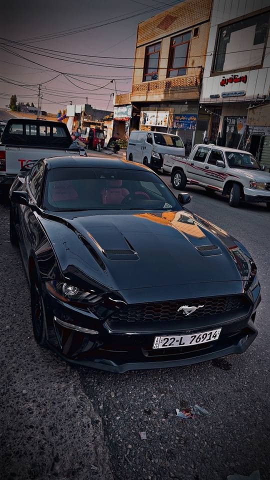 Ford mustang 2021 
موستانك گێر عادي 
سيارةيةكي زور خاوينة بي شوخت و قوب بشت بو بيش كةبس مةكينةي نةكراوةتةوة بةشةرت 
هةموو شتةكي بةشةرتة بةناوي خومة 
سيةرةكة ٣ بارجة و نيوي بوياغة بي داخلي يرباك بةس شاني تةقية نرخي ١٣٣ مجالةكي تيداية 
*********** أربيل, العراق
