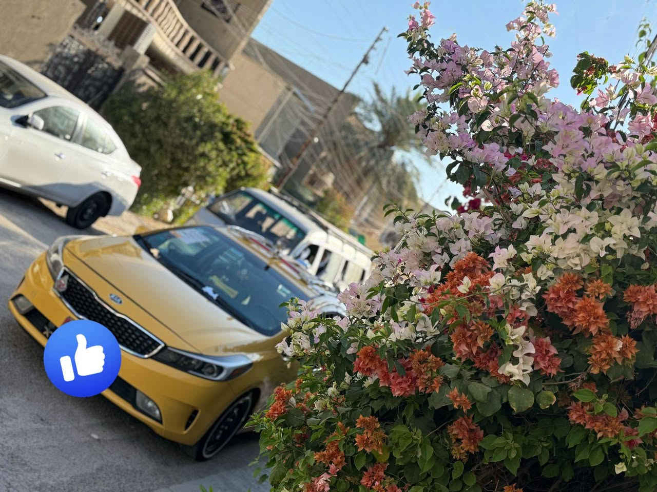 ‏فورتي موديل 2017   رقم بغداد  تحول مباشر  (منظومة غاز السيارة) لايتات زنون ابو العدسة تخم تاير جديد ورد أمريكي حادث صندوق فقط شرط الكفاله وبدون داخل  و صور الحادث بل منشور ملاحضه السياره جاهزه من كلشي  حجم المحرك 2000 دوش المرغوب مكان السياره  بغداد الشعب  سعر 117 وبيها مجال
‏
‏***********
‏فورتي موديل 2017   رقم بغداد  تحول مباشر  (منظومة غاز السيارة) لايتات زنون ابو العدسة تخم تاير جديد ورد أمريكي حادث صندوق فقط شرط الكفاله وبدون داخل  و صور الحادث بل منشور ملاحضه السياره جاهزه من كلشي  حجم المحرك 2000 دوش المرغوب مكان السياره  بغداد الشعب  سعر 117 وبيها مجال
