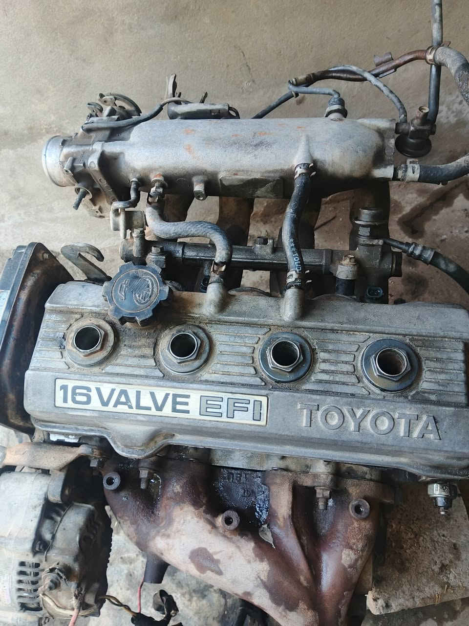 شرط جديدة للبيع 400


**إذا كنت صاحب هذا الإعلان وتريد حذفه لأي سبب، رجاءا أرسل رسالة إلى الدعم الفني**