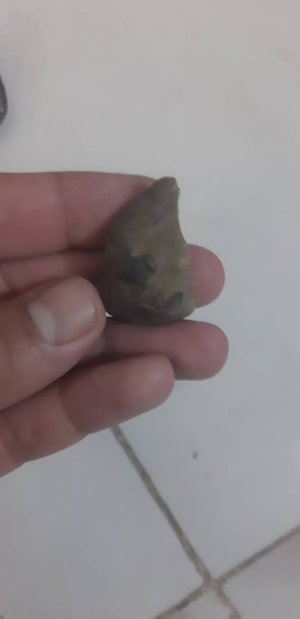 مصورات
للبيع


**إذا كنت صاحب هذا الإعلان وتريد حذفه لأي سبب، رجاءا أرسل رسالة إلى الدعم الفني**