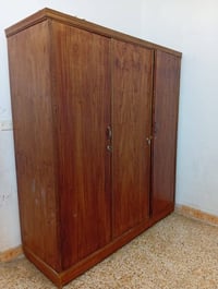 كنتور • ٣ بوب • عراقي اصلي