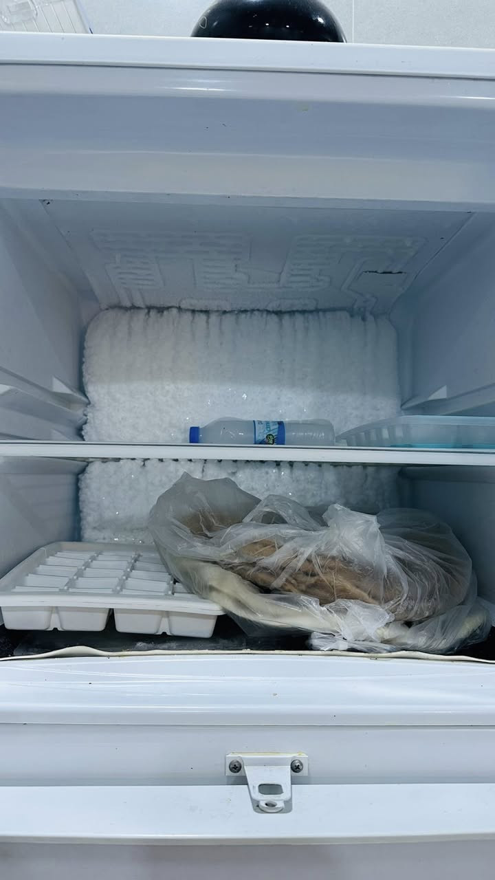 ثلاجة كونكورد الأصلي
صوبة نفطية للبيع


**إذا كنت صاحب هذا الإعلان وتريد حذفه لأي سبب، رجاءا أرسل رسالة إلى الدعم الفني**