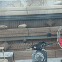 ديوان • اسود • بلاويد