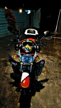 بغداد • جديد • مكفول