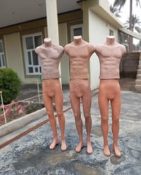 ملكانات • للبيع • ديالى المقدادية سنسل القلعة الثانية