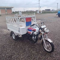 ستوته ام طير • ٢٠٢٥ • مكفوله