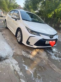 كورلا • ٢٠٢٥ • فول كفالة