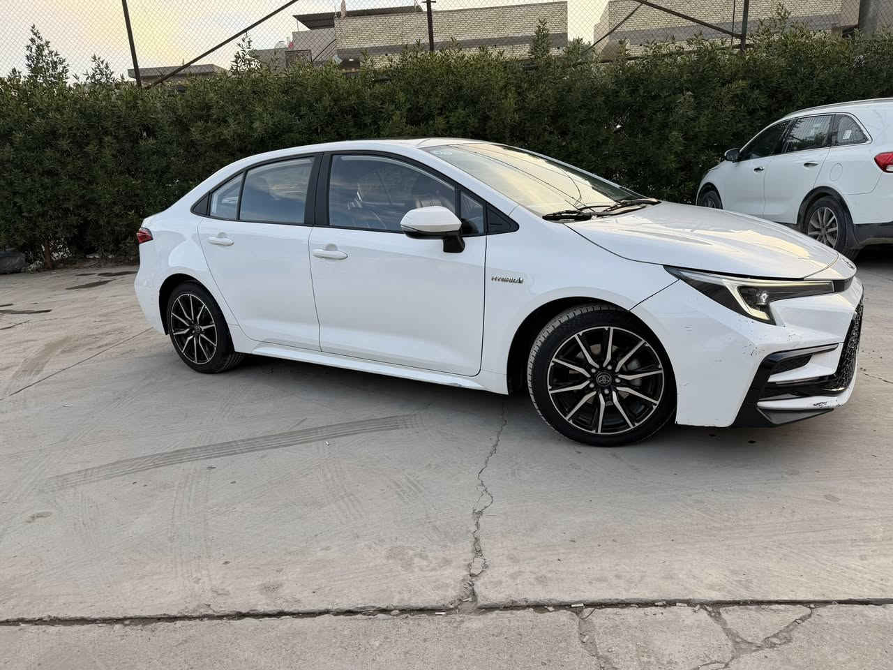 السلام عليكم 

كورلا هايبرد ٢٠٢٣ شكل s
ماشية ٦٣ الف 
الي تكون بيه فتحة سقف وكشن كهرباء
السيارة ب اسمي

السيارة على ايدي ماخذها زيرو
بيه شوية شخوط بحكم الشارع
وبيه طخة بالدعامية نكسر بيه كفر الماصدة فمبدل الماصدة اني ومرفق صورة الطخة
 تخم تايراتها مبدل جديد و دسكاتها الأمامية مبدلة جديد

ب ١٥٣ وبيه مجال للشراي 
لتواصل على هذا الرقم ***********

مكانها بغداد الكريعات
مع الشكر
