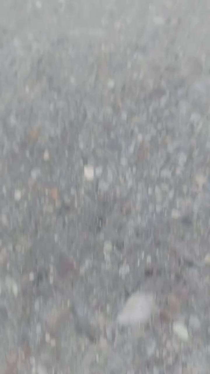 سلام عليكم  دراجه للبيع ماكس دراجه  اغراض كلها موجوده شلعوه معدل دراجه بلاديه ما مفتوحه   ***********واتساب موجود600 قفل تدق علي ولا تتعب ما انطيه غير 600
