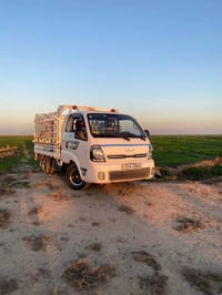 حمل • ٢٠٢٣ • الصويره