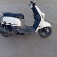 ماكس بوليس • مديل 2008 • كربلاء الحسنيه