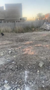 شارع ابو نزار • خمسينات • وجه ٤