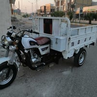 ستوته دايون مديل 2022 طالعه ب 2023 شهر 12 اصوليه رقم و سنويه انكليزي ش...