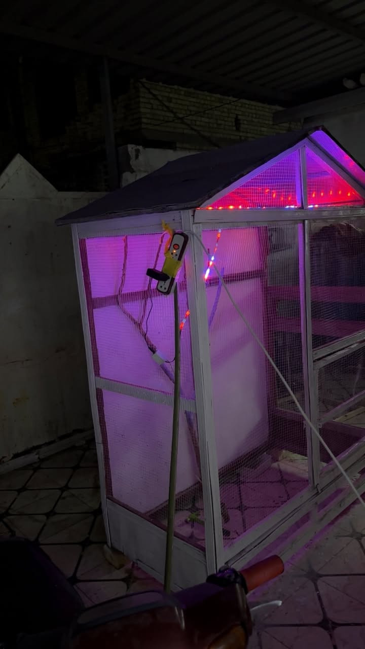 البيع -100 السعر
مكاني. بوبيات اطول مترين العرض متر ونص


**إذا كنت صاحب هذا الإعلان وتريد حذفه لأي سبب، رجاءا أرسل رسالة إلى الدعم الفني**