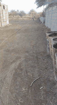 الشمامرة • ٥٠٠م • طابو زراعي