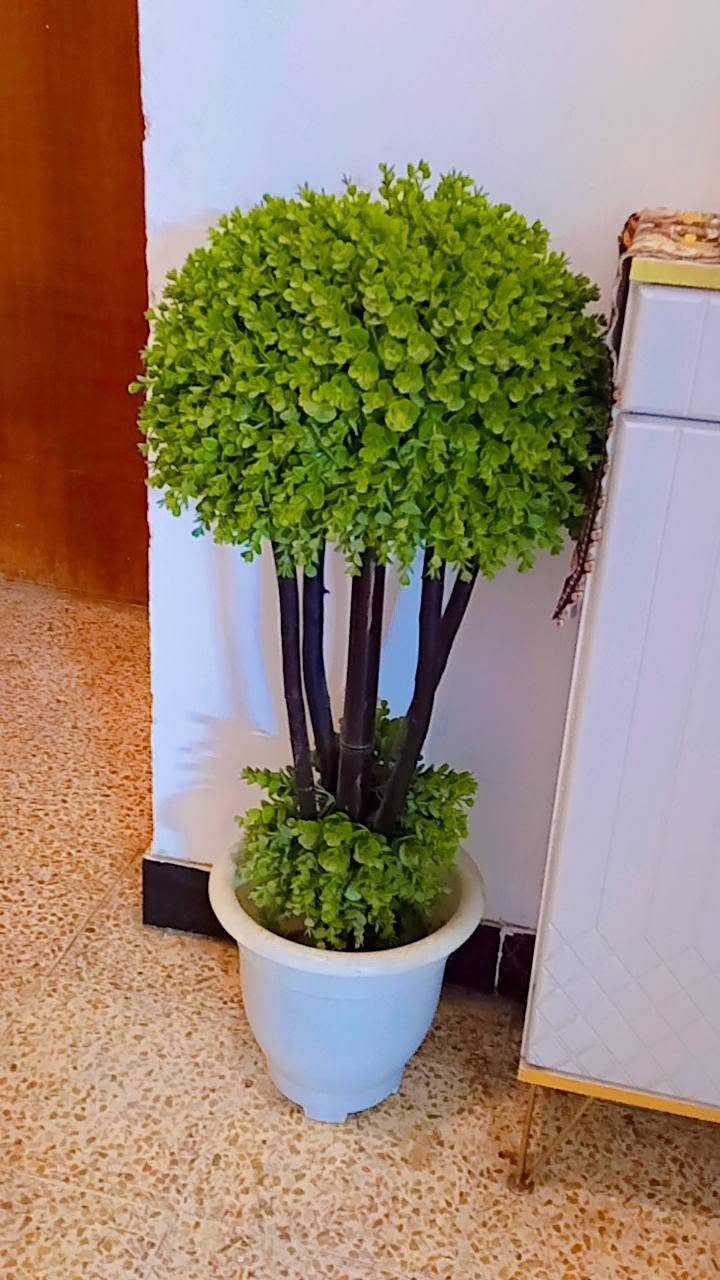 سندانات ثنين ب٥٠


**إذا كنت صاحب هذا الإعلان وتريد حذفه لأي سبب، رجاءا أرسل رسالة إلى الدعم الفني**