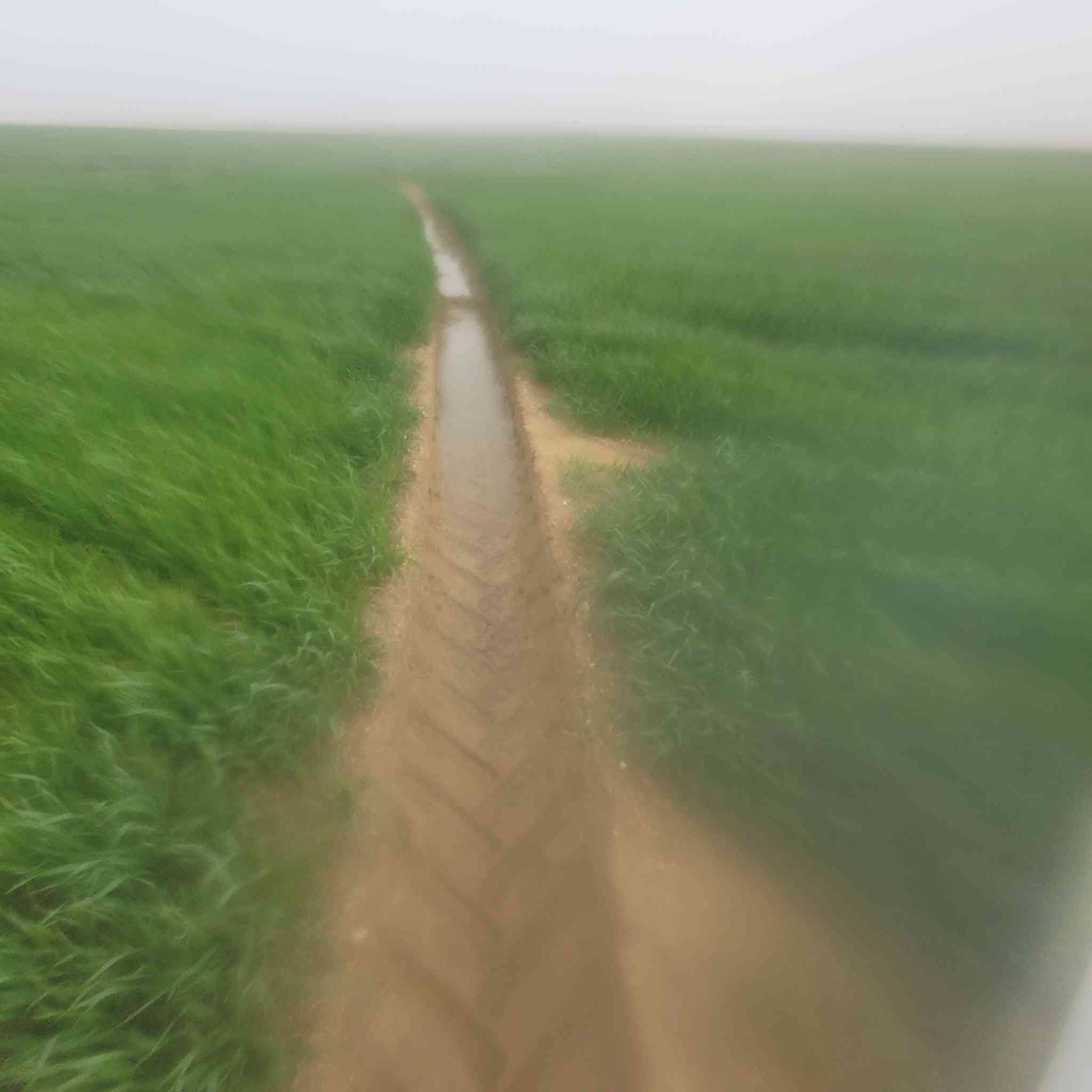 ١٣٥ دونم السماوه ابو غار عدلات  وينسكن سيح رايدهن ب١٧ وبيهن مجال بسيط وجه الماي ٢٠ متر وهاي صور الكاع الي بصفها *********** الكاع طينيه
