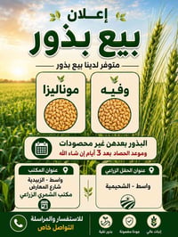موناليزا • حصاد بعد ٣ أيام • الزبيدية واسط