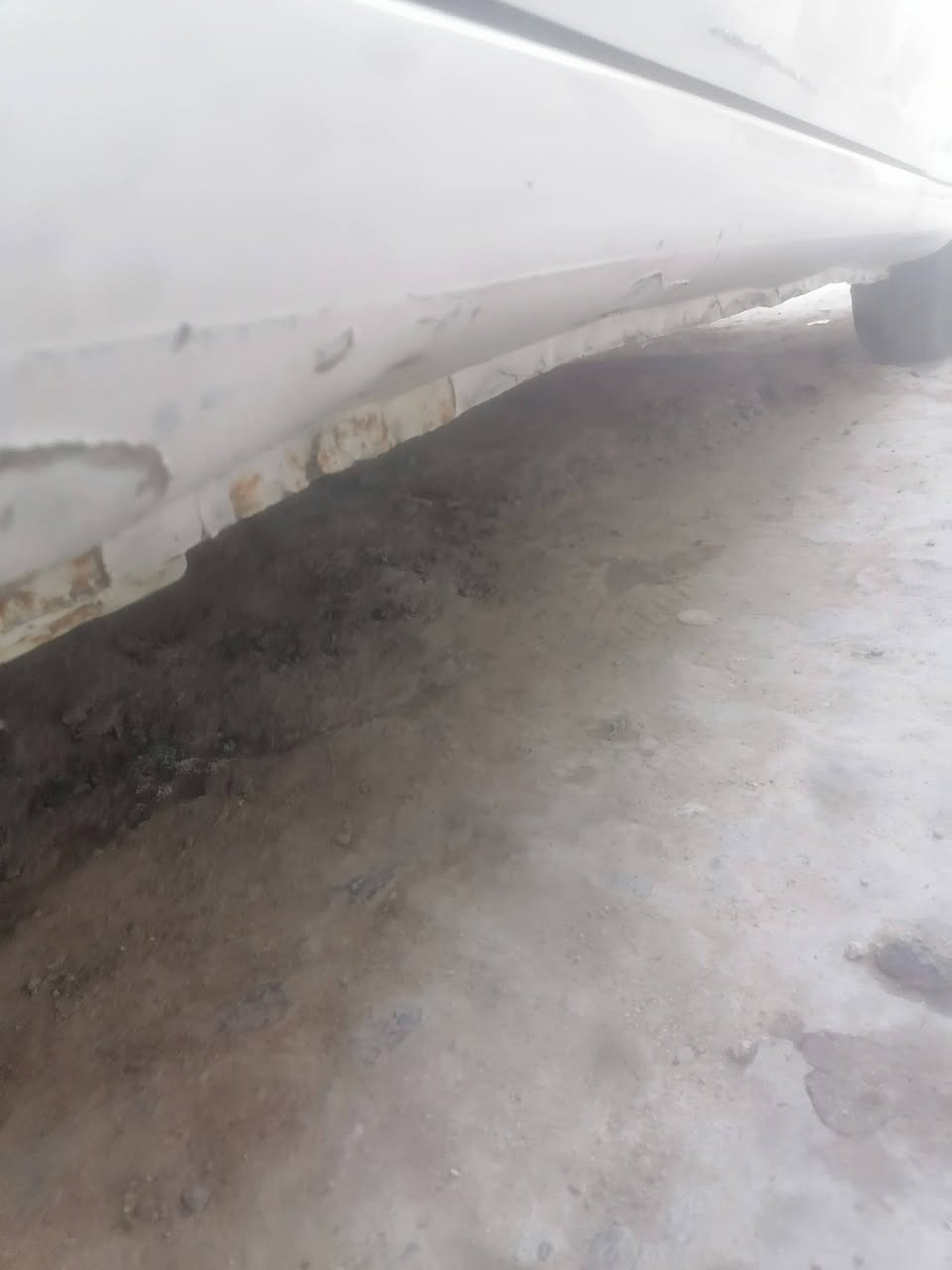 اسلام عليكم سمند موديل ١١ نمره ذيقار مكينه كير تبريد تتفه طخم تاير حداديه مشط جديد كفاله بس بنيد مبدل ناصريه سوق الشيوخ *********** السعر 35 او بيه مجال
