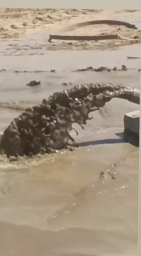 مستعدون لحفر الابار اليدوية والالية الخاصة بالمنازل والحدائق يوجد حفر ألي يصل الى 100م بأنسب الأسعار ***********
***********
