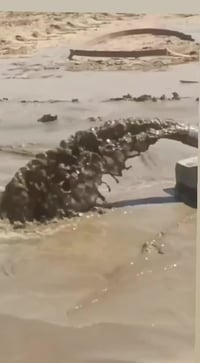 مستعدون لحفر الابار اليدوية والالية الخاصة بالمنازل والحدائق يوجد حفر ...