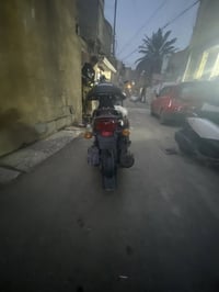 فله • معدل • سليمانية