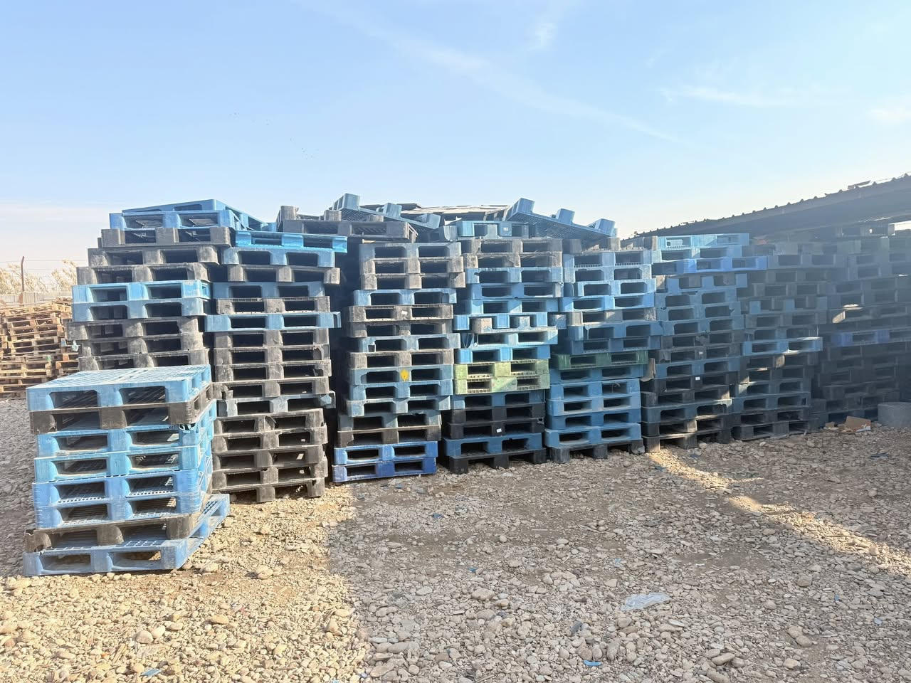 بيع سكيب بلاستك
الألوان: أزرق – أسود

📍 العنوان: ديالى / خان بني سعد
💰 السعر: 10,000 دينار (قابل للتفاوض الشراي فقط)
📦 البيع: شلع قلع أو كميات
📞 الاتصال: للشراء فقط

رقم الهاتف: ***********
